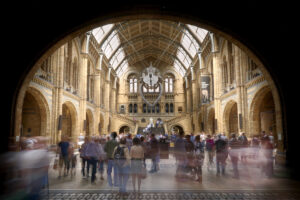 Hintze Hall at the Natural History Museum.