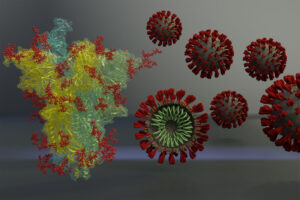 Rendering of the SARS-CoV-2 viral spike protein.