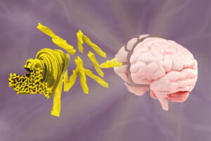 The cryo-EM structure of TAF15 amyloid filaments from the brains of individuals with frontotemporal lobar degeneration. TAF15 protein is rendered in yellow and ordered solvent in red. 