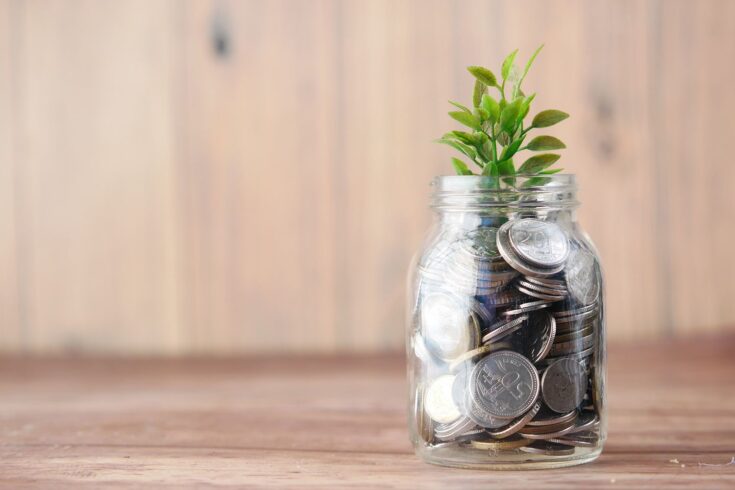 Green plant growing out of jar filled with coins.
