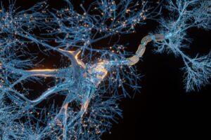 Neuron cells branching out on black background