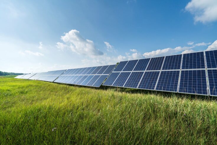 A green field with solar panels lined up