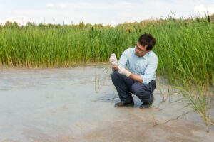 Field researcher biologist examines soil sample