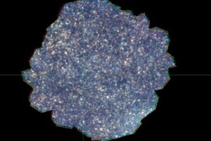 Image of countless stars against a blue background