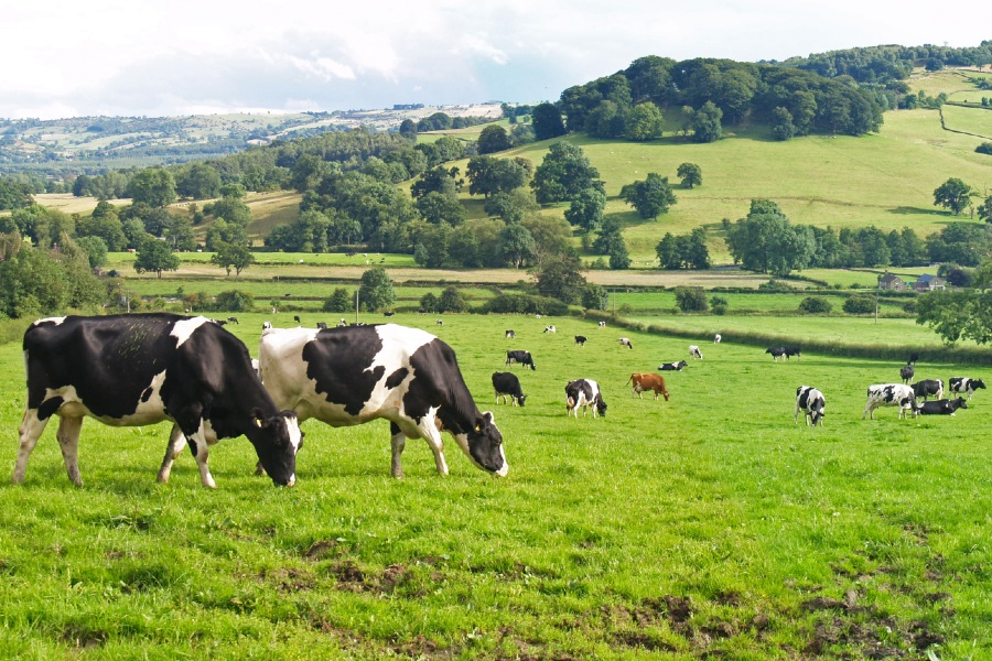 Accelerating the adoption of innovation on-farm