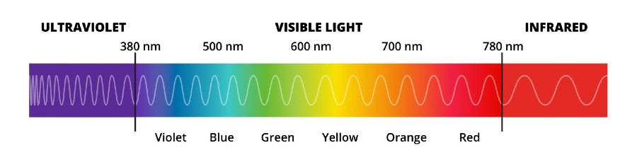 Illustration of the visible light spectrum, showing that shorter wavelengths appear bluer and longer wavelengths appear redder.