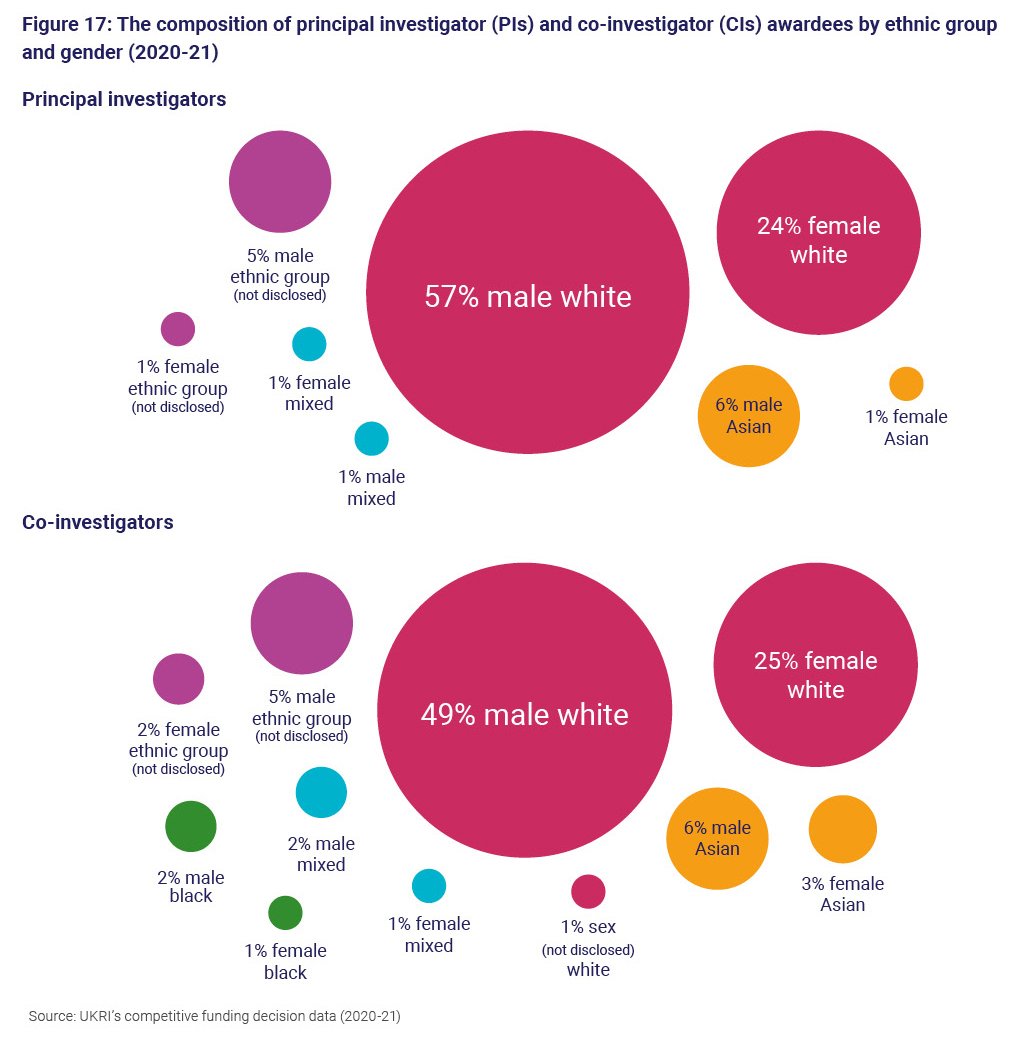 Figure 17: The composition of principal investigator and co-investigator awardees by ethnic group and gender (2020 to 2021)