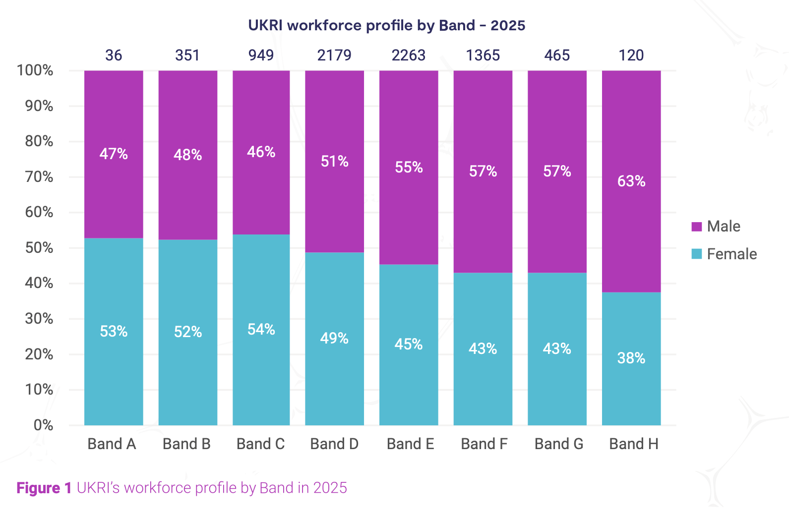 Figure 1: UKRI’s workforce profile by band in 2025 (band A n (number) =36, band B n=351, band C n=949, band D n=2179, band E n=2263, band F n=1365, band G n=465, band H n=120)