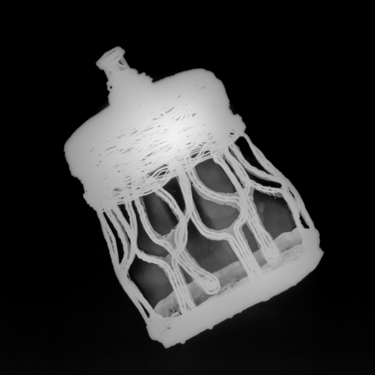 A 3D X‑ray image showing the rock crystal jar from the Galloway Hoard, revealing the delicate gold meshwork surrounding the crystal