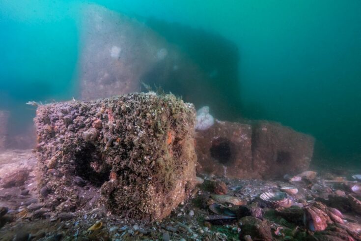 Four large blocks with holes in the middle, resting on the seabed covered in seaweed and algae.